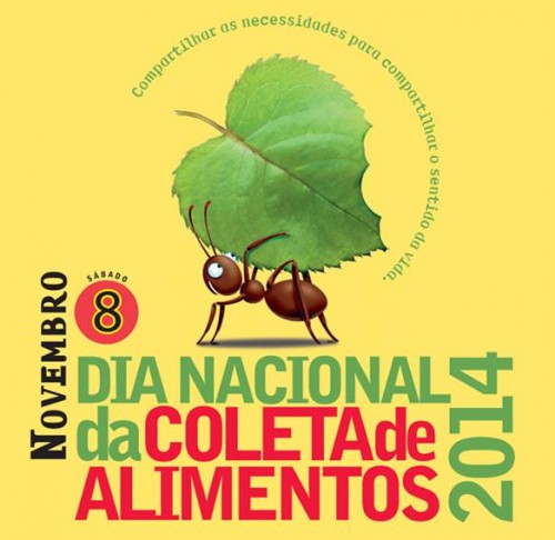 coleta de alimentos floripa