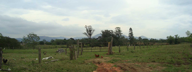 terreno_tubarao_destaque